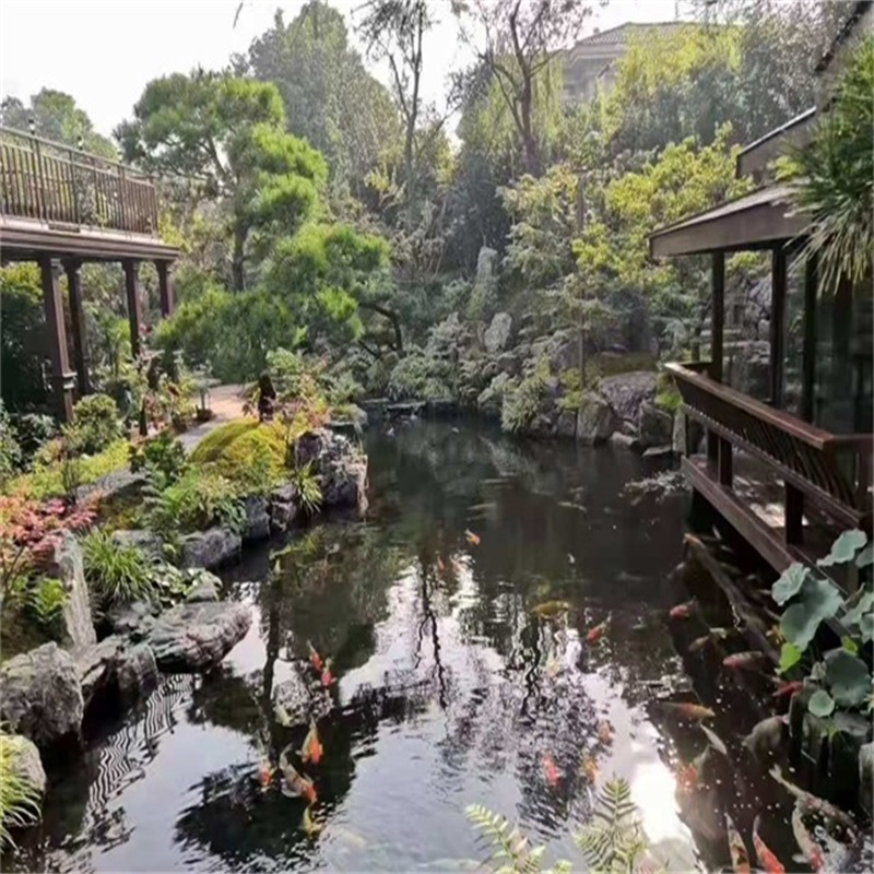 西安假山植物小鱼池